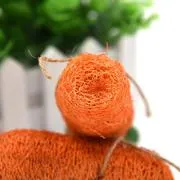 Dental Carrot Toy - Loofah